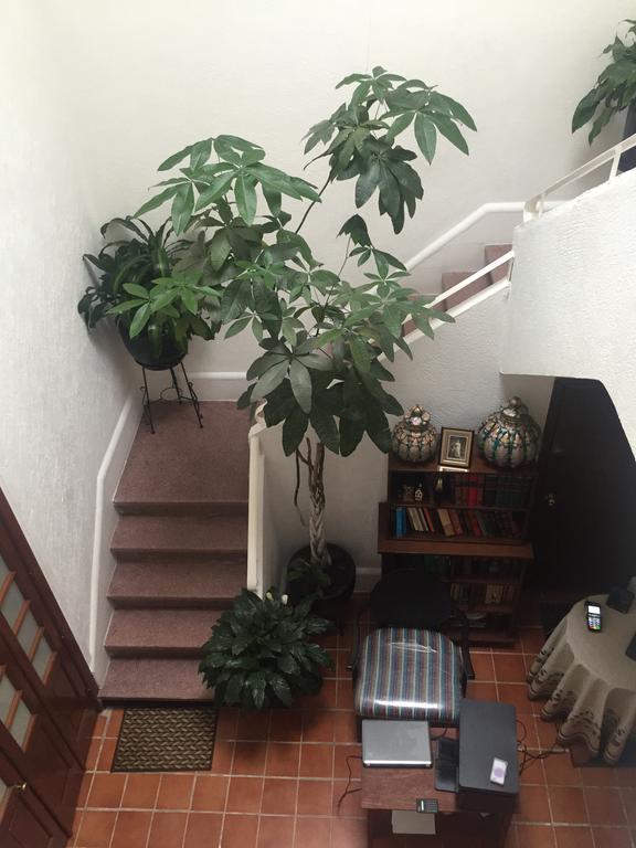 Hotel Casa Maria Elena Condesa (Adults Only) Meksyk Zewnętrze zdjęcie