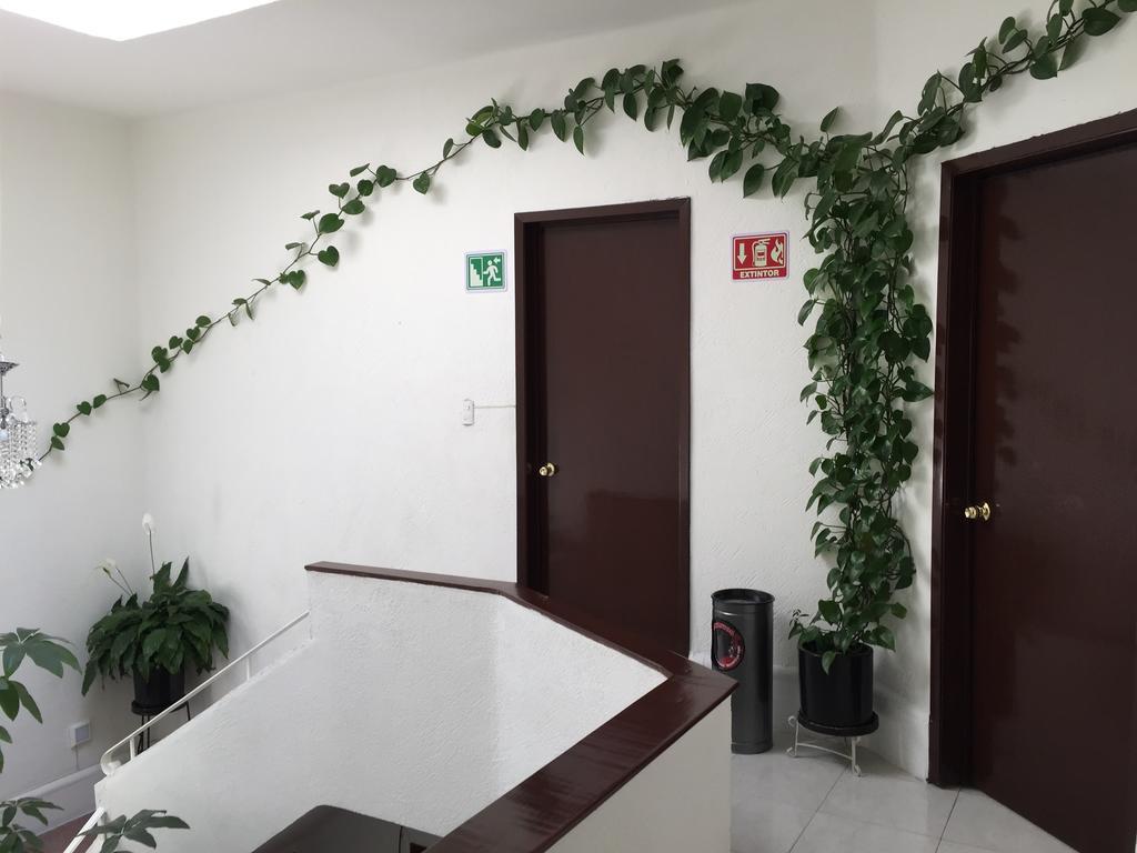Hotel Casa Maria Elena Condesa (Adults Only) Meksyk Zewnętrze zdjęcie