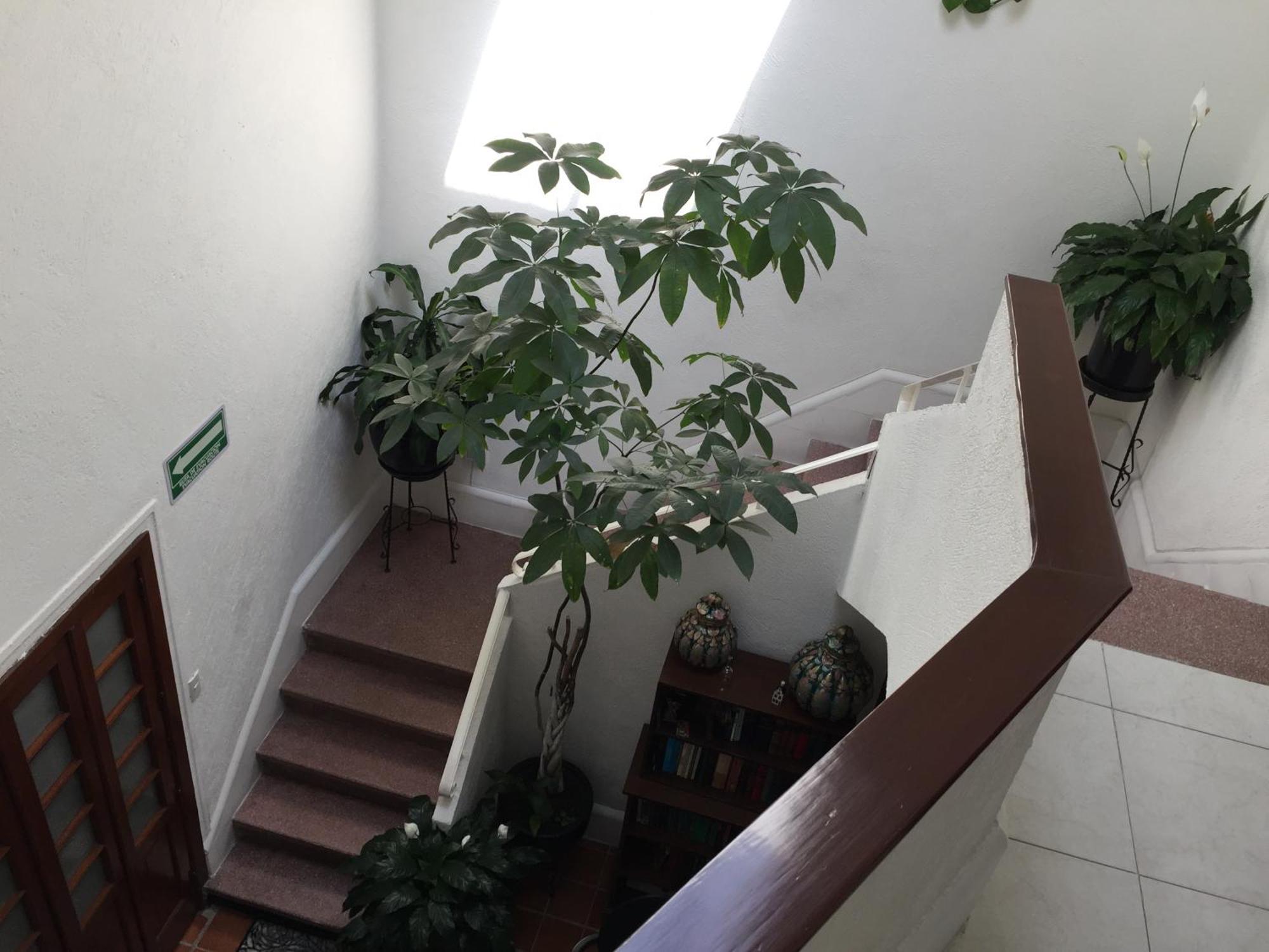 Hotel Casa Maria Elena Condesa (Adults Only) Meksyk Zewnętrze zdjęcie