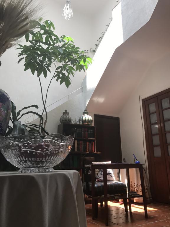 Hotel Casa Maria Elena Condesa (Adults Only) Meksyk Zewnętrze zdjęcie