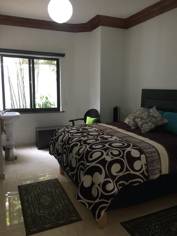 Hotel Casa Maria Elena Condesa (Adults Only) Meksyk Zewnętrze zdjęcie