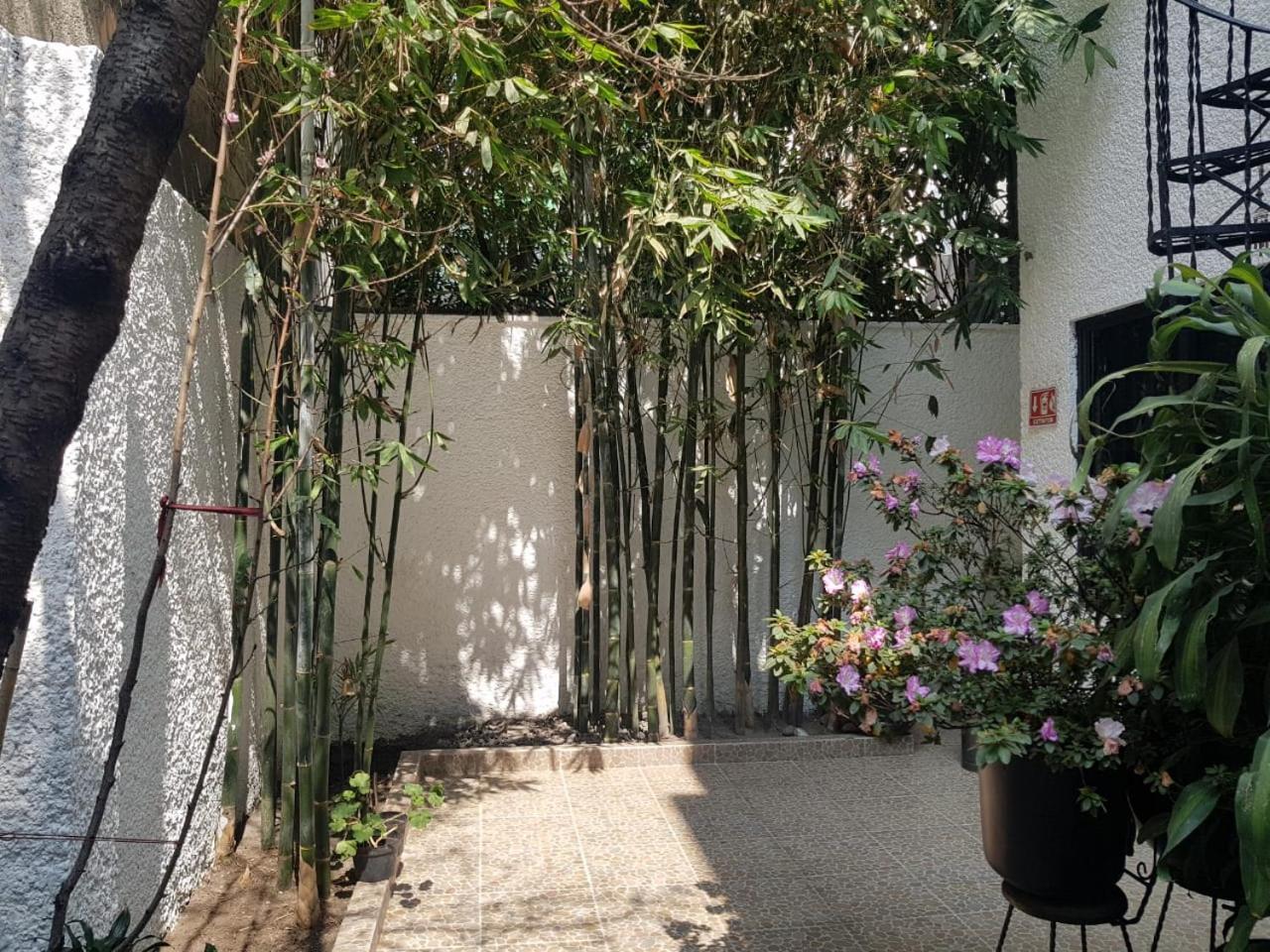 Hotel Casa Maria Elena Condesa (Adults Only) Meksyk Zewnętrze zdjęcie